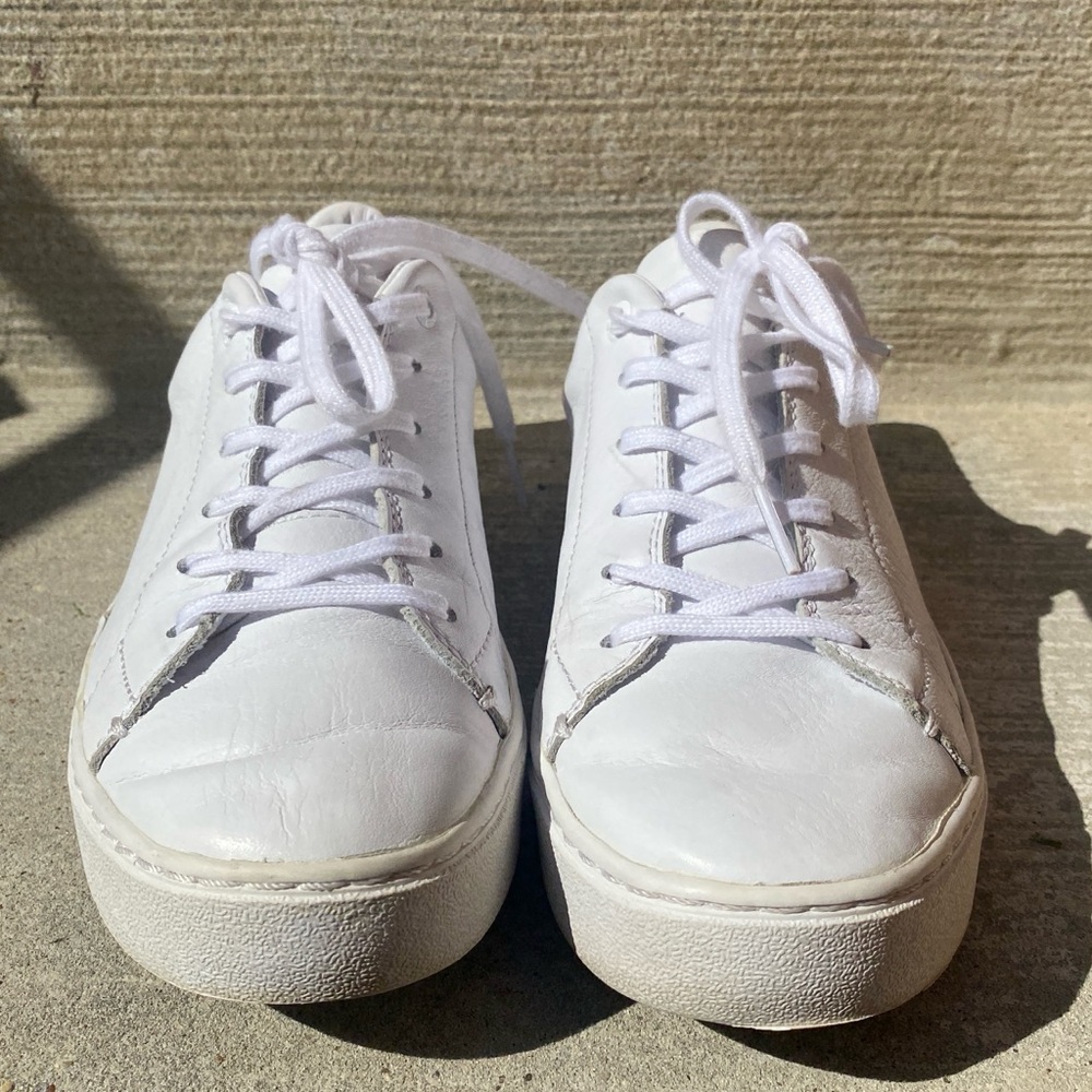 Tom’s classic white sneaker